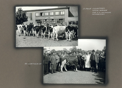 223107 Bladzijde met twee foto's van de bekroonde vette runderen de op de Veetentoonstellingen te Utrecht van 10 tot en ...